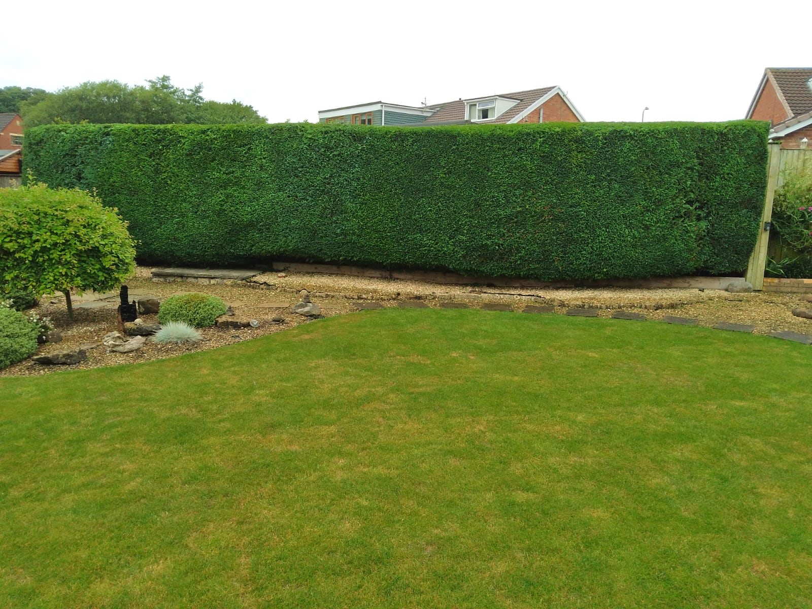 Hedge Cutting Bridgend