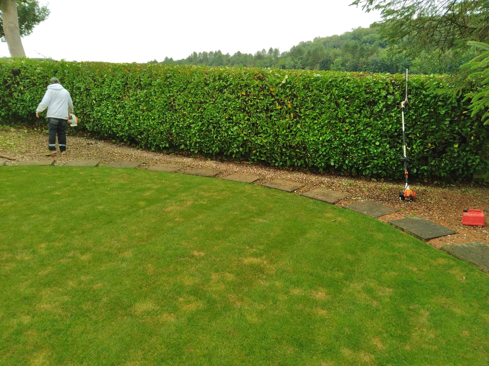 Hedge Cutting Bridgend