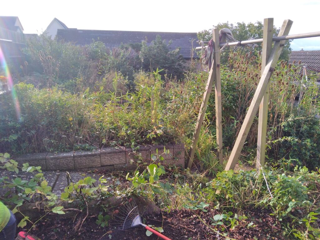 garden clearance Ogmore-by-Sea