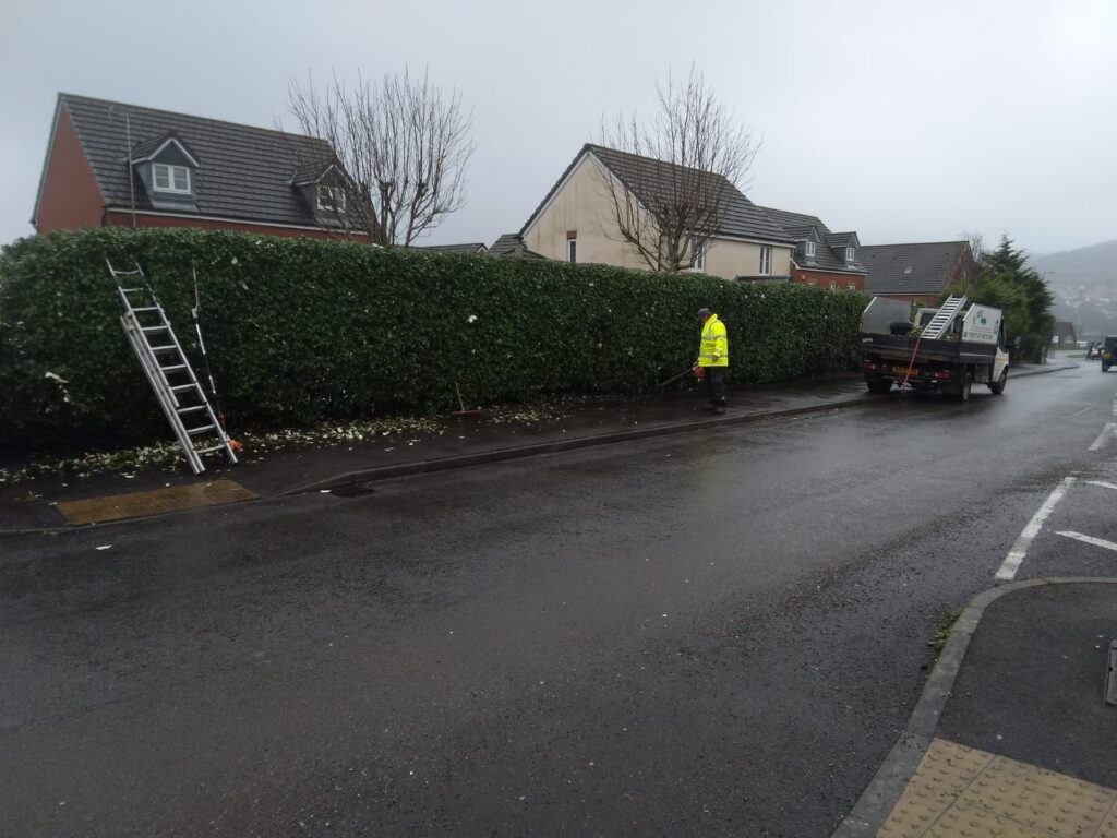 Hedge cutting services in Aberdare