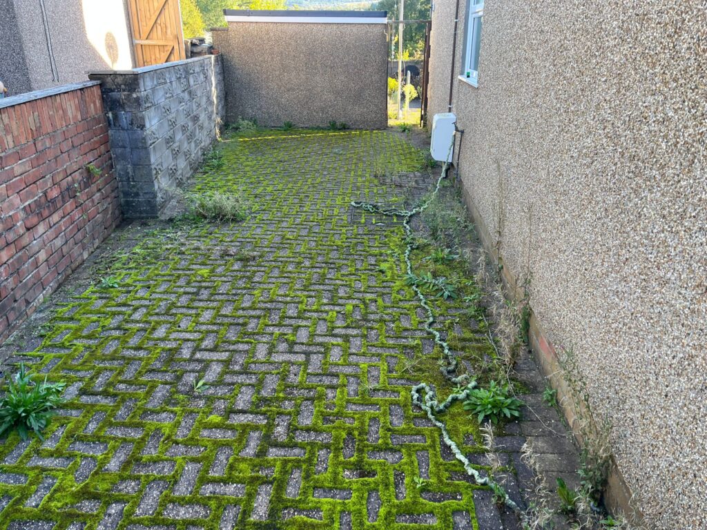 Garden Clearance in Tondu