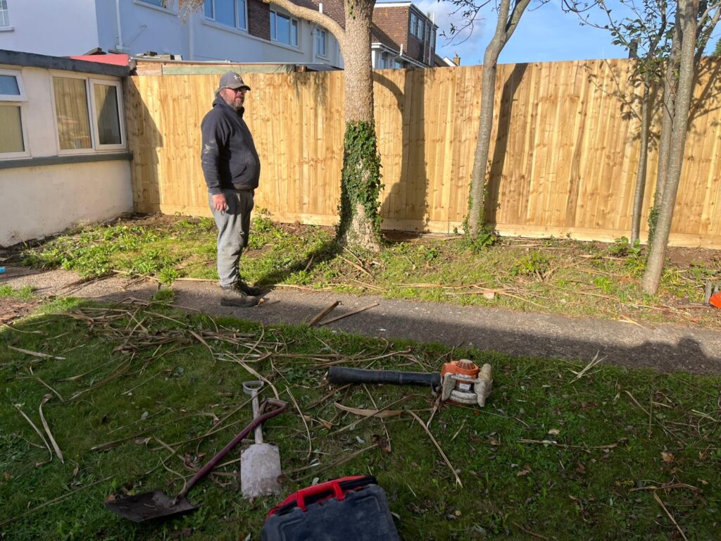 garden landscaping Pile North Connolly