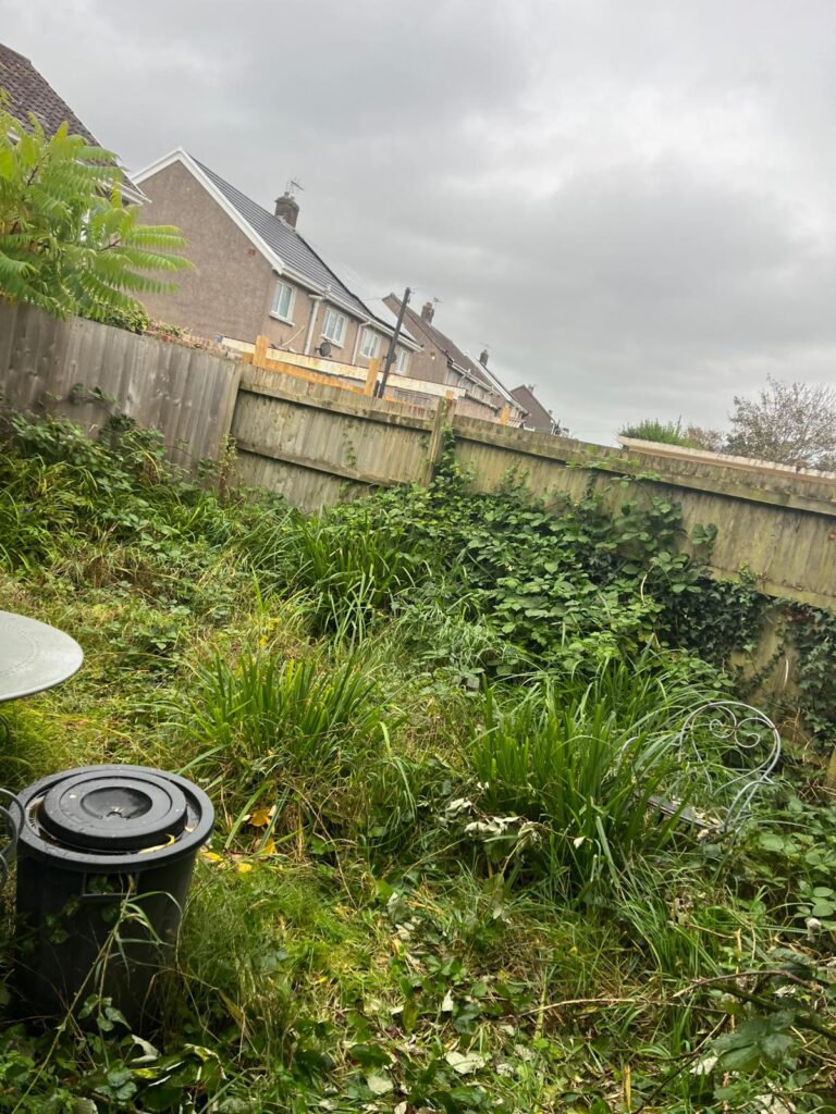 garden clearance pontypool