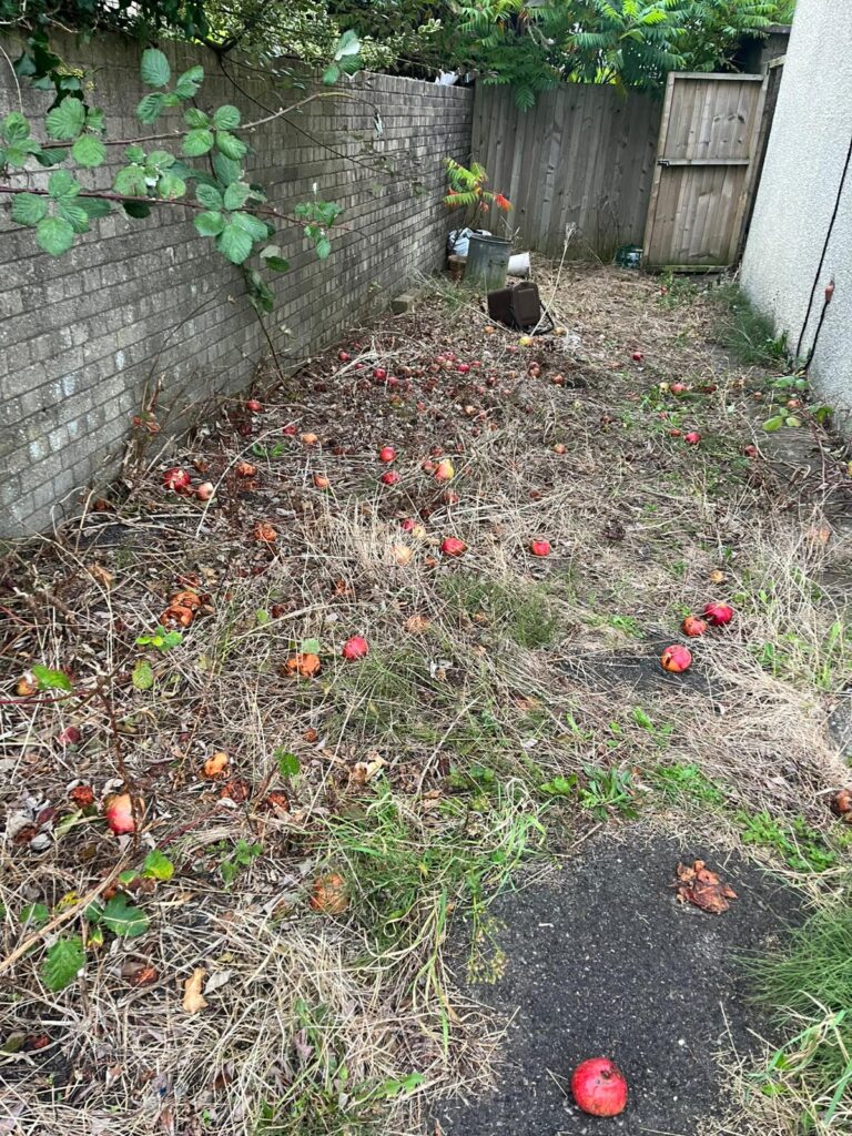 garden clearance pontypool