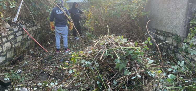 garden clearance bridgend