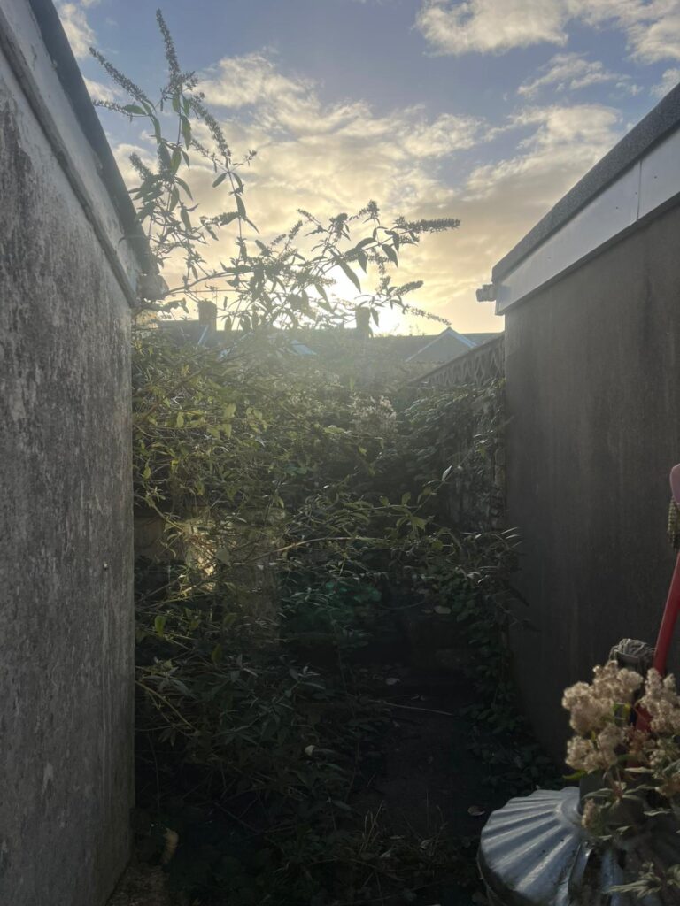 garden clearance bridgend