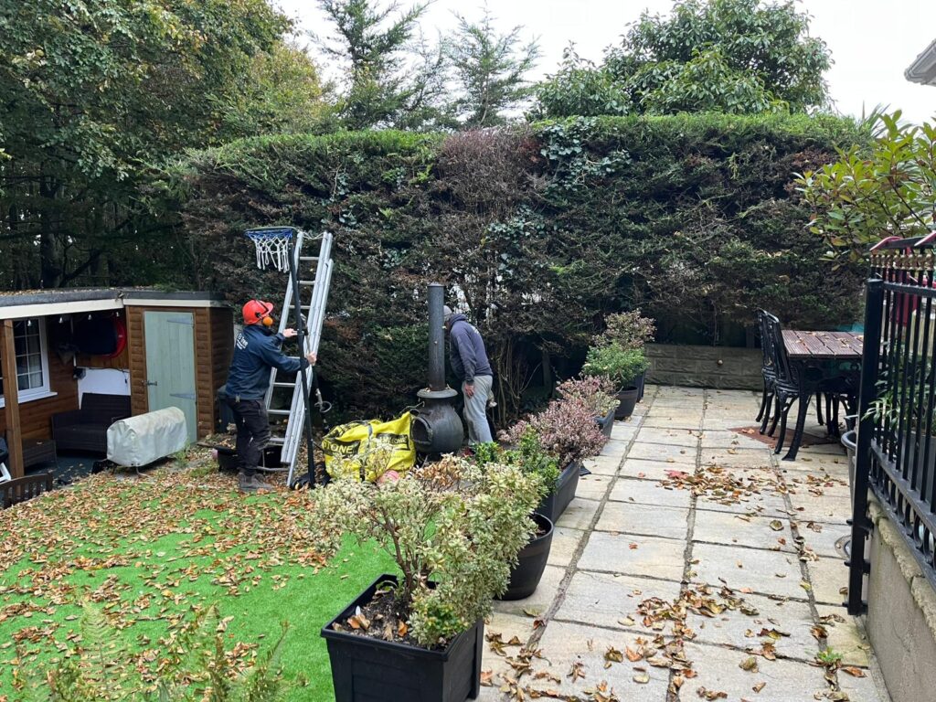 hedge cutting bridgend
