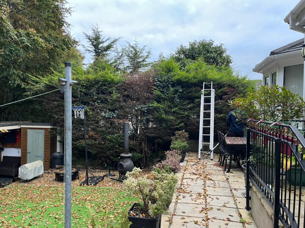 hedge cutting bridgend