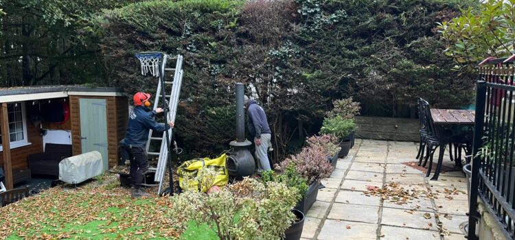 hedge cutting bridgend