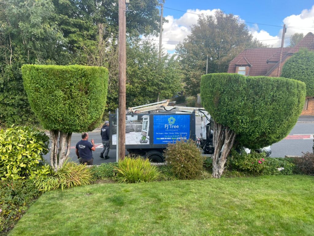 hedge trimming bridgend