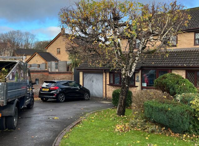 Tree Pruning in Bridgend