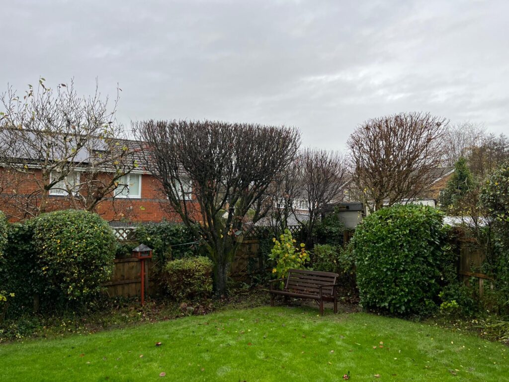 hedge and tree maintenance in Pontypridd?