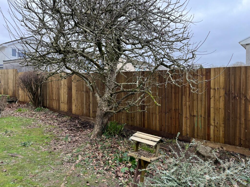 Garden fencing in Pencoed