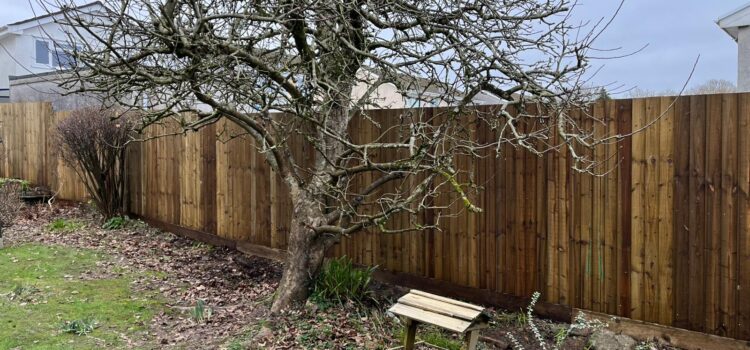Garden fencing in Pencoed