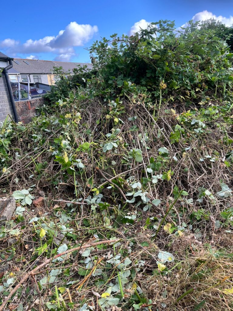 garden clearance porthcawl