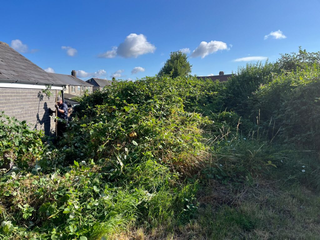 garden clearance porthcawl