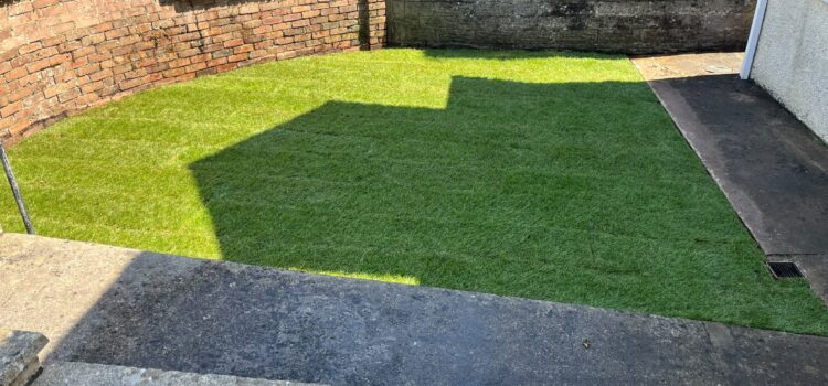 New lawn Turfing Bridgend