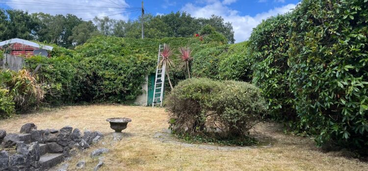 hedge cutting in Pyle