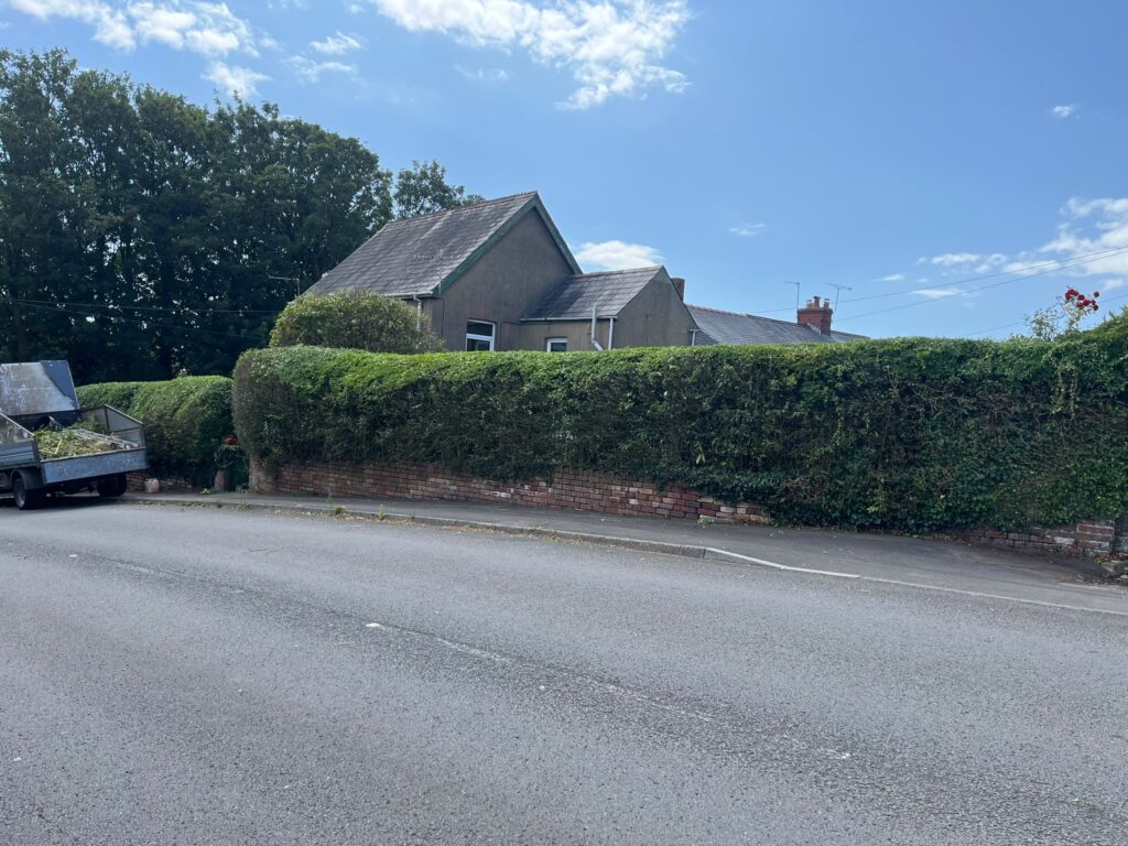 hedge cutting in Pyle